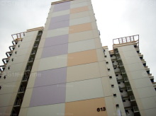 Blk 613 Jurong West Street 62 (Jurong West), HDB Executive #433652